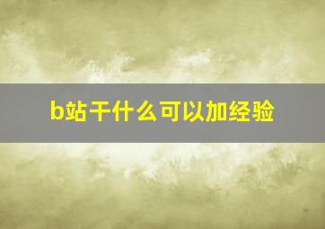 b站干什么可以加经验