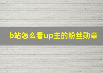 b站怎么看up主的粉丝勋章