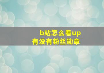 b站怎么看up有没有粉丝勋章