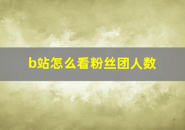 b站怎么看粉丝团人数