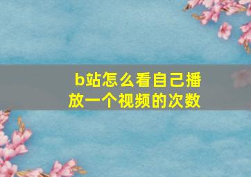 b站怎么看自己播放一个视频的次数