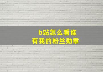 b站怎么看谁有我的粉丝勋章