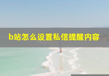 b站怎么设置私信提醒内容