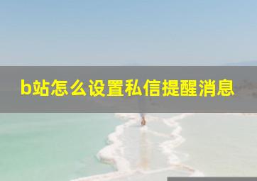 b站怎么设置私信提醒消息