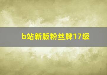 b站新版粉丝牌17级