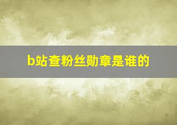 b站查粉丝勋章是谁的