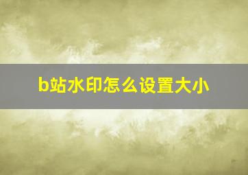 b站水印怎么设置大小