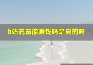 b站流量能赚钱吗是真的吗