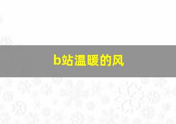 b站温暖的风