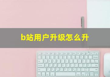 b站用户升级怎么升