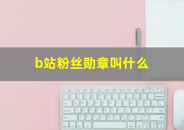 b站粉丝勋章叫什么