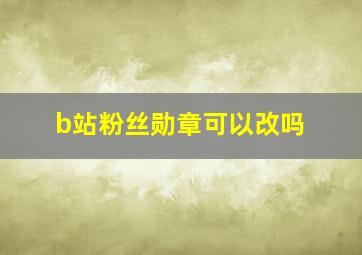 b站粉丝勋章可以改吗