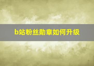 b站粉丝勋章如何升级