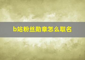 b站粉丝勋章怎么取名