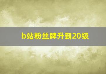 b站粉丝牌升到20级