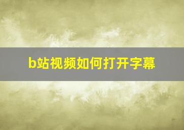 b站视频如何打开字幕