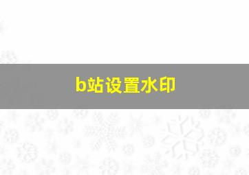 b站设置水印