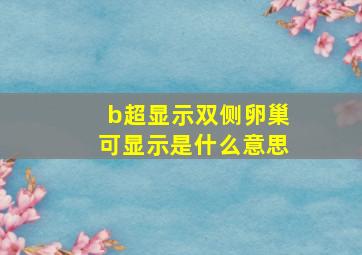 b超显示双侧卵巢可显示是什么意思