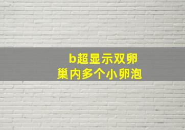 b超显示双卵巢内多个小卵泡