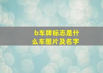 b车牌标志是什么车图片及名字