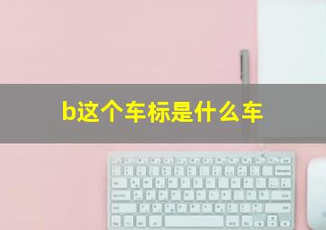 b这个车标是什么车