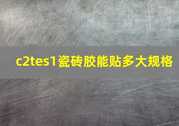 c2tes1瓷砖胶能贴多大规格