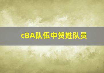 cBA队伍中贺姓队员