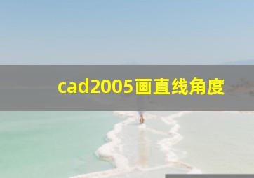 cad2005画直线角度