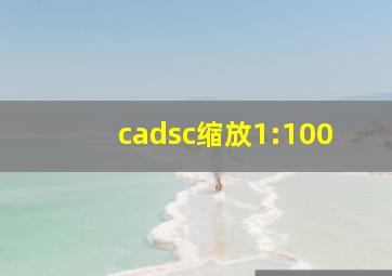 cadsc缩放1:100