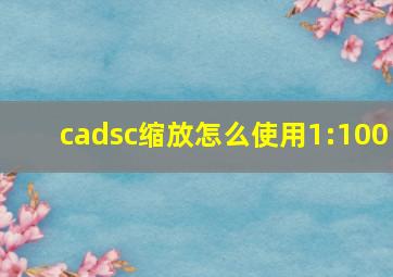 cadsc缩放怎么使用1:100