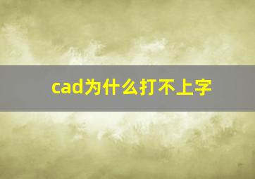 cad为什么打不上字