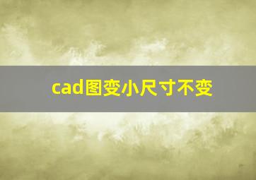 cad图变小尺寸不变