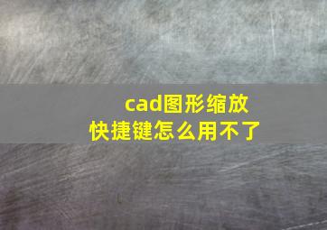 cad图形缩放快捷键怎么用不了