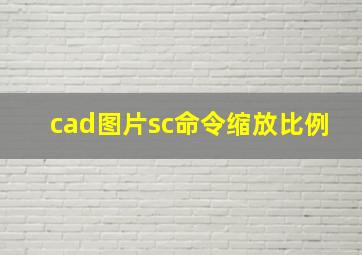 cad图片sc命令缩放比例