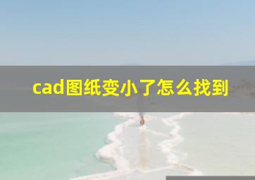 cad图纸变小了怎么找到