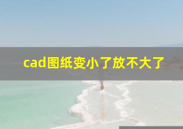 cad图纸变小了放不大了