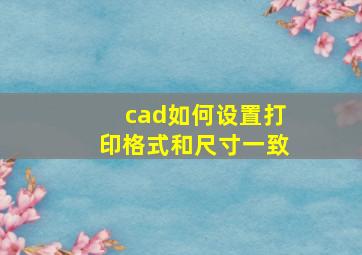 cad如何设置打印格式和尺寸一致