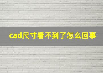 cad尺寸看不到了怎么回事