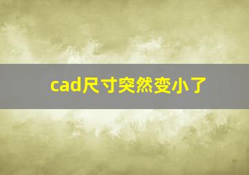 cad尺寸突然变小了