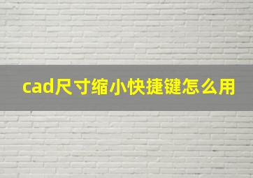 cad尺寸缩小快捷键怎么用