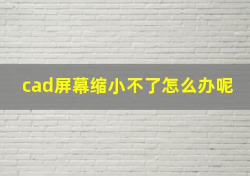 cad屏幕缩小不了怎么办呢