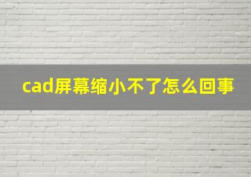 cad屏幕缩小不了怎么回事