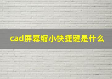 cad屏幕缩小快捷键是什么