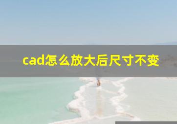 cad怎么放大后尺寸不变