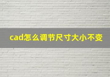 cad怎么调节尺寸大小不变