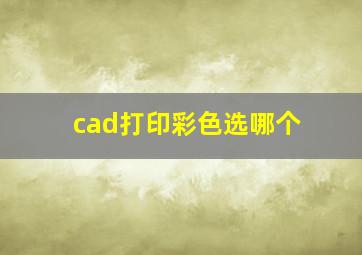 cad打印彩色选哪个