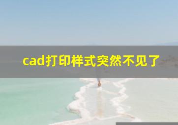 cad打印样式突然不见了