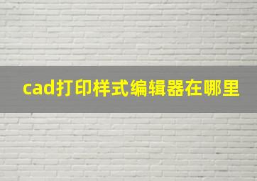 cad打印样式编辑器在哪里