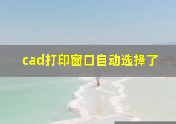 cad打印窗口自动选择了