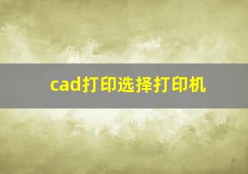 cad打印选择打印机